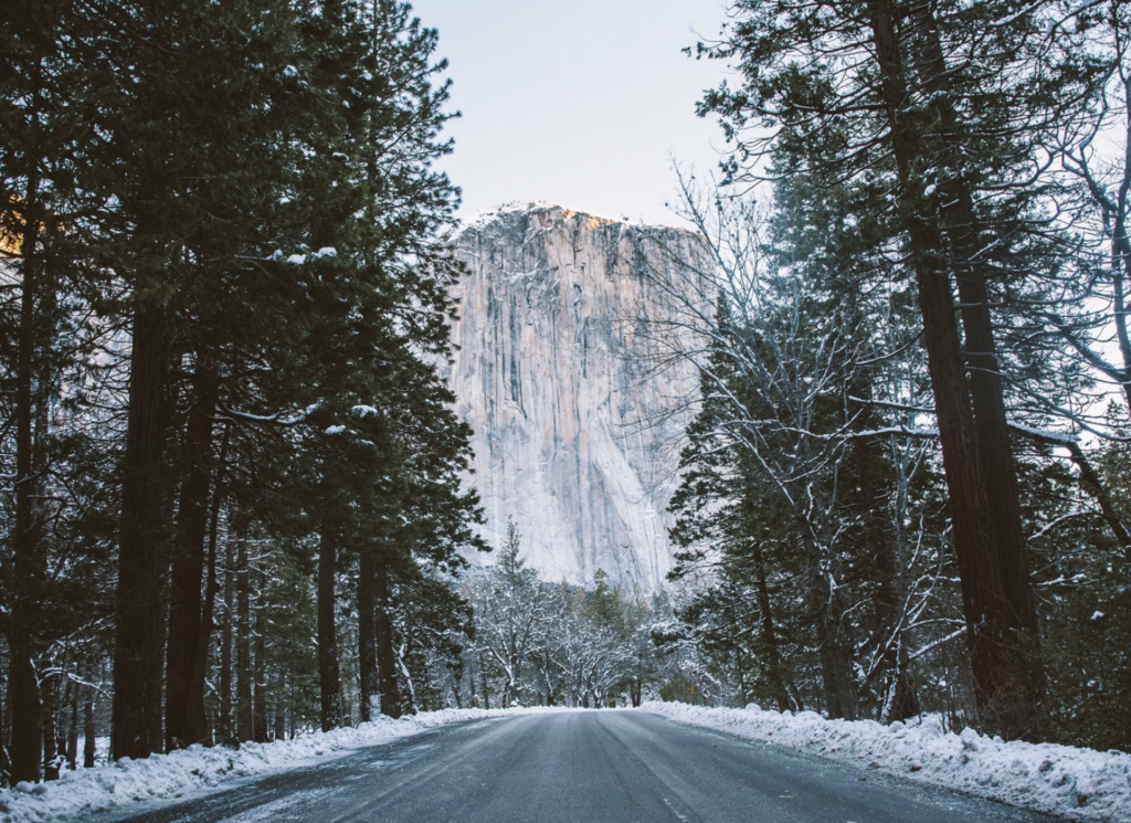 Which Months Get Snow in Yosemite National Park (When to Visit and Avoid Snow)