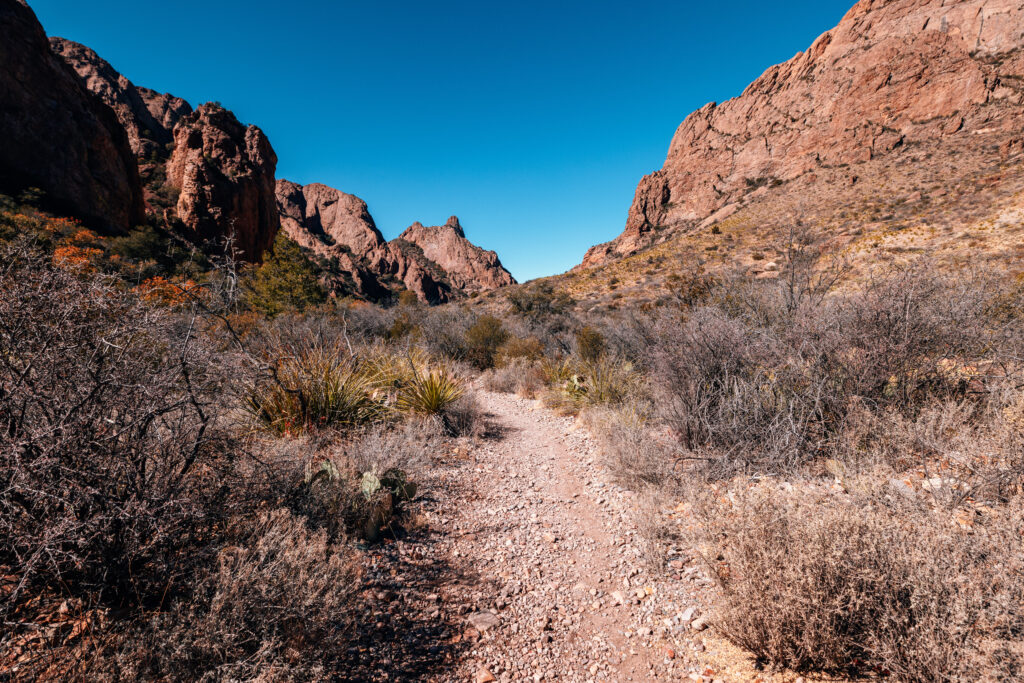 Dry Trail Bed on the Window Trail Big Bend