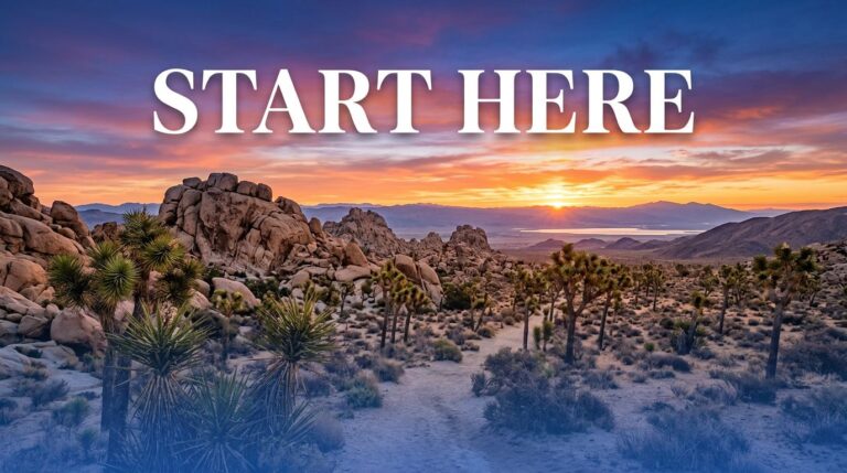 Joshua Tree Map: Where I’d Start on a First Visit