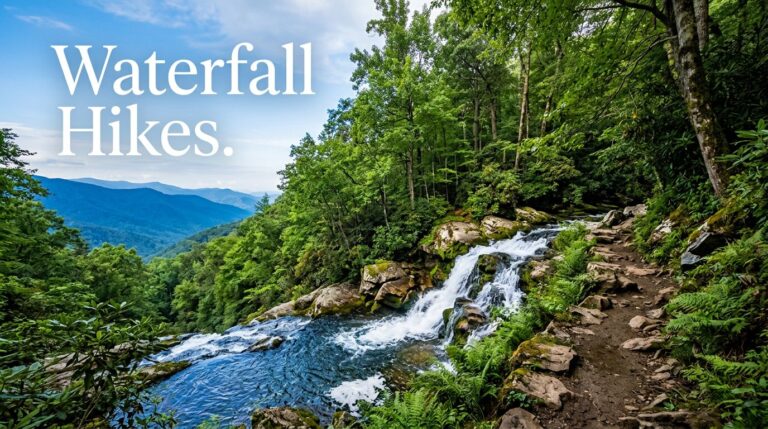Best West Virginia Hikes for Waterfalls and Views