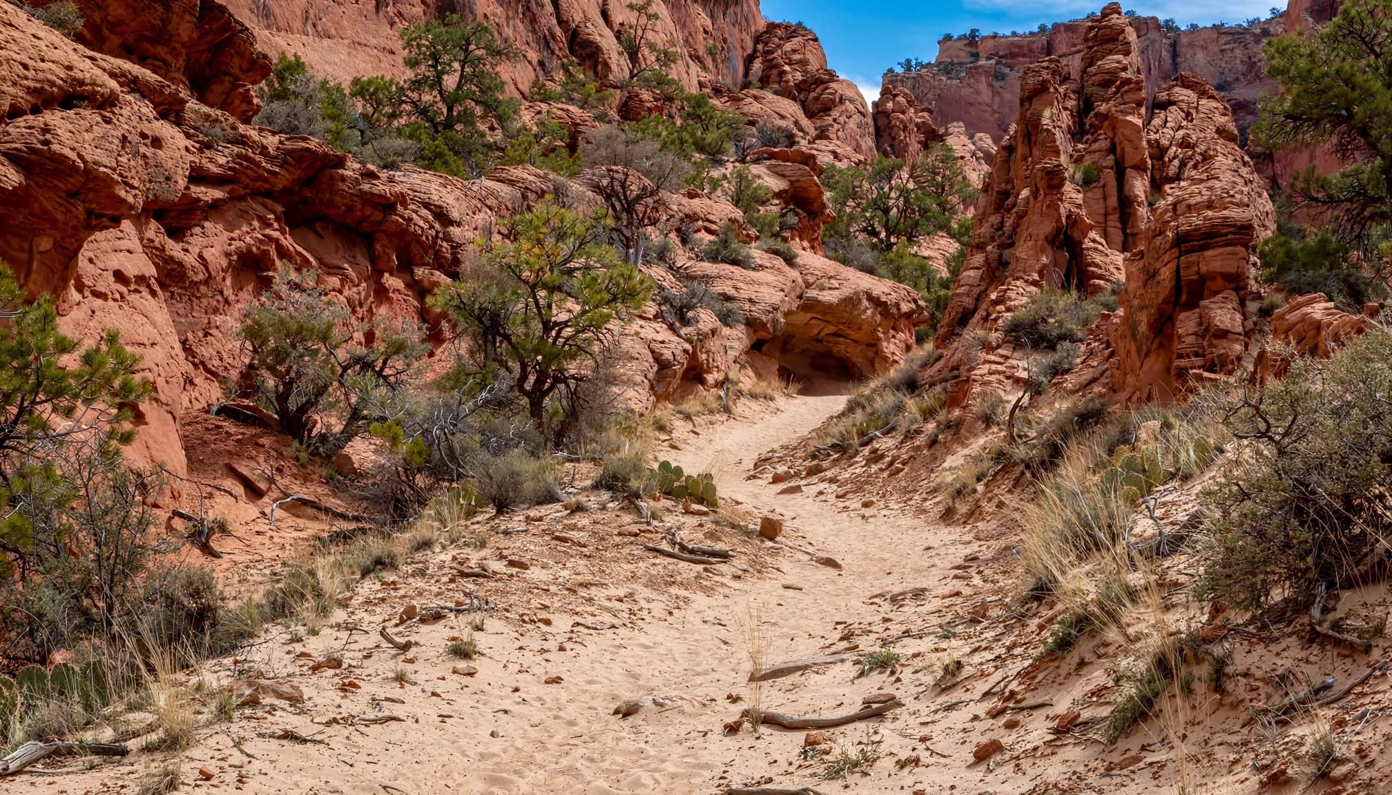 A sandy trail leads between red sandstone walls toward a small alcove.