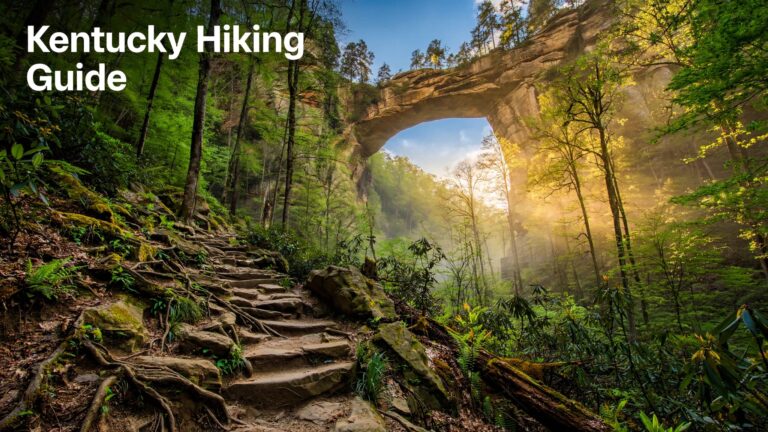 Stone steps lead through a forest toward Kentucky’s Natural Bridge arch.