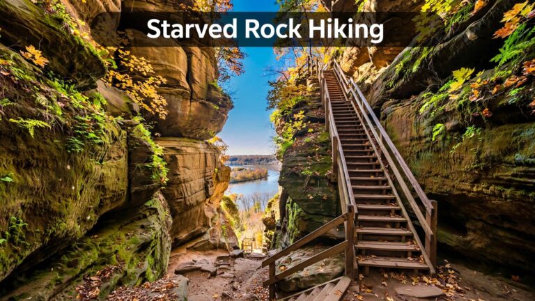 Mossy sandstone canyon walls, wooden stairs, autumn trees, and a trail toward the Illinois River.