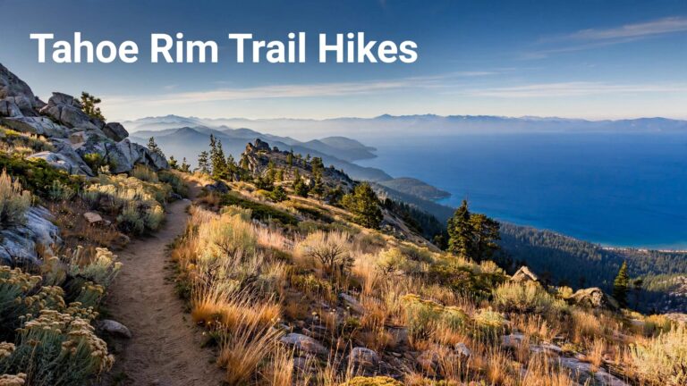 A golden trail overlooks blue Lake Tahoe and distant mountains beneath clear morning light.