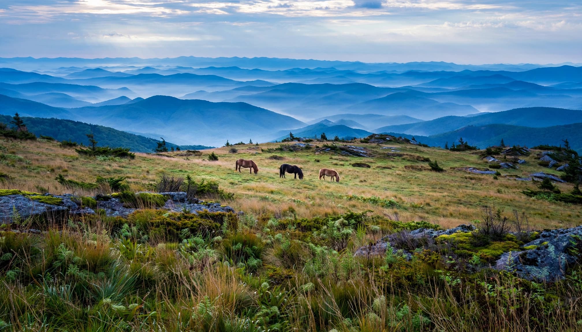 Three ponies graze on a grassy ridge beneath distant blue mountains.