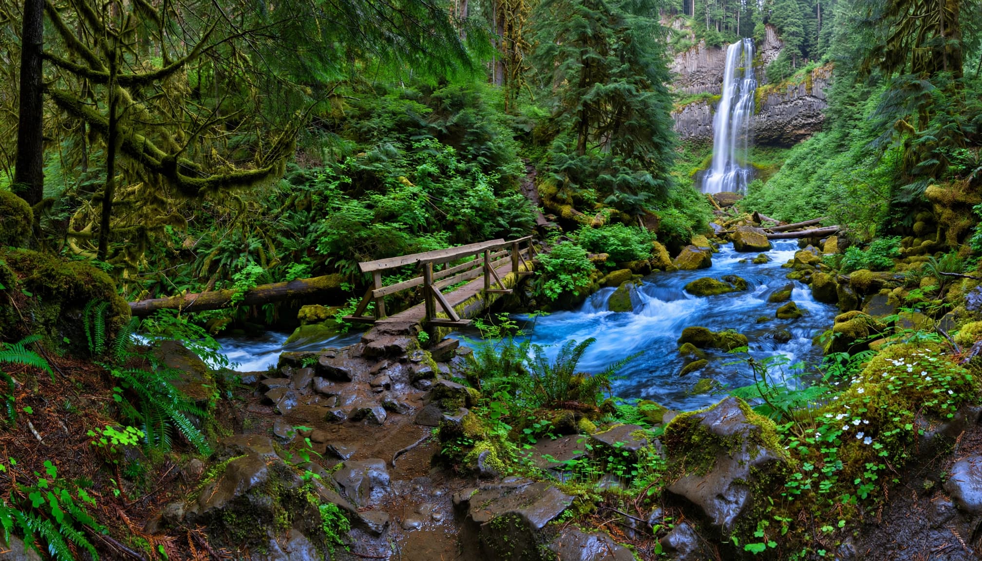 A wooden bridge crosses a rocky stream below a tall forest waterfall.
