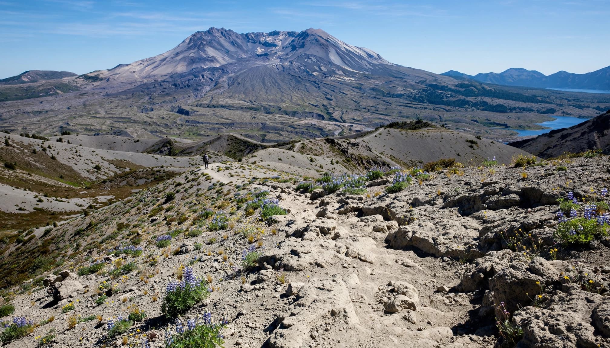 A distant hiker walks a pumice trail below Mount St. Helens beneath a clear sky.