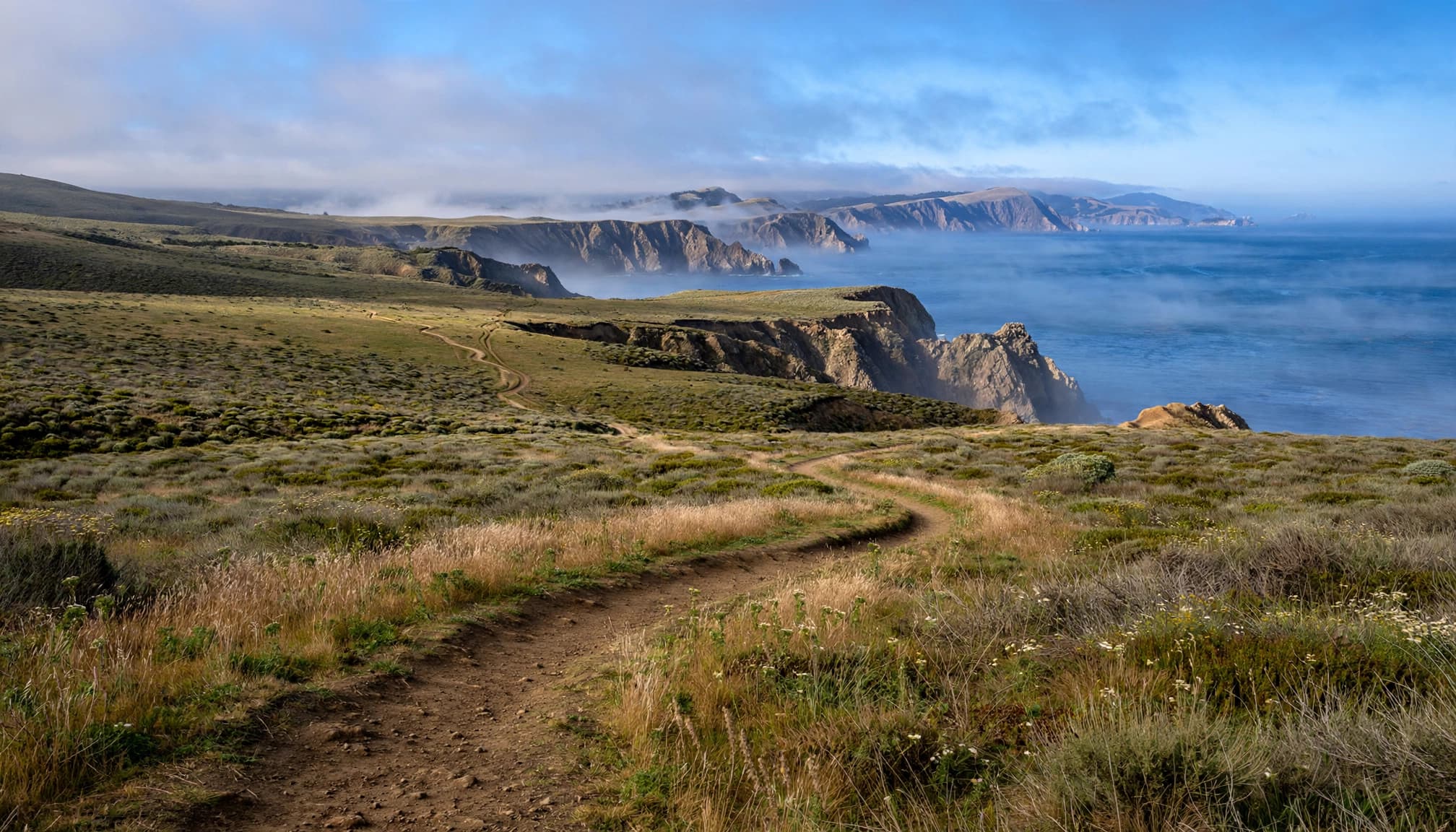 An empty trail curves through coastal grass toward cliffs and the blue Pacific Ocean.