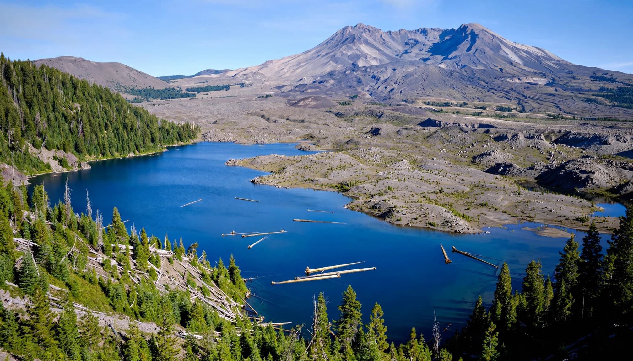 Pale logs float on Spirit Lake beneath Mount St. Helens and its stark volcanic slopes.