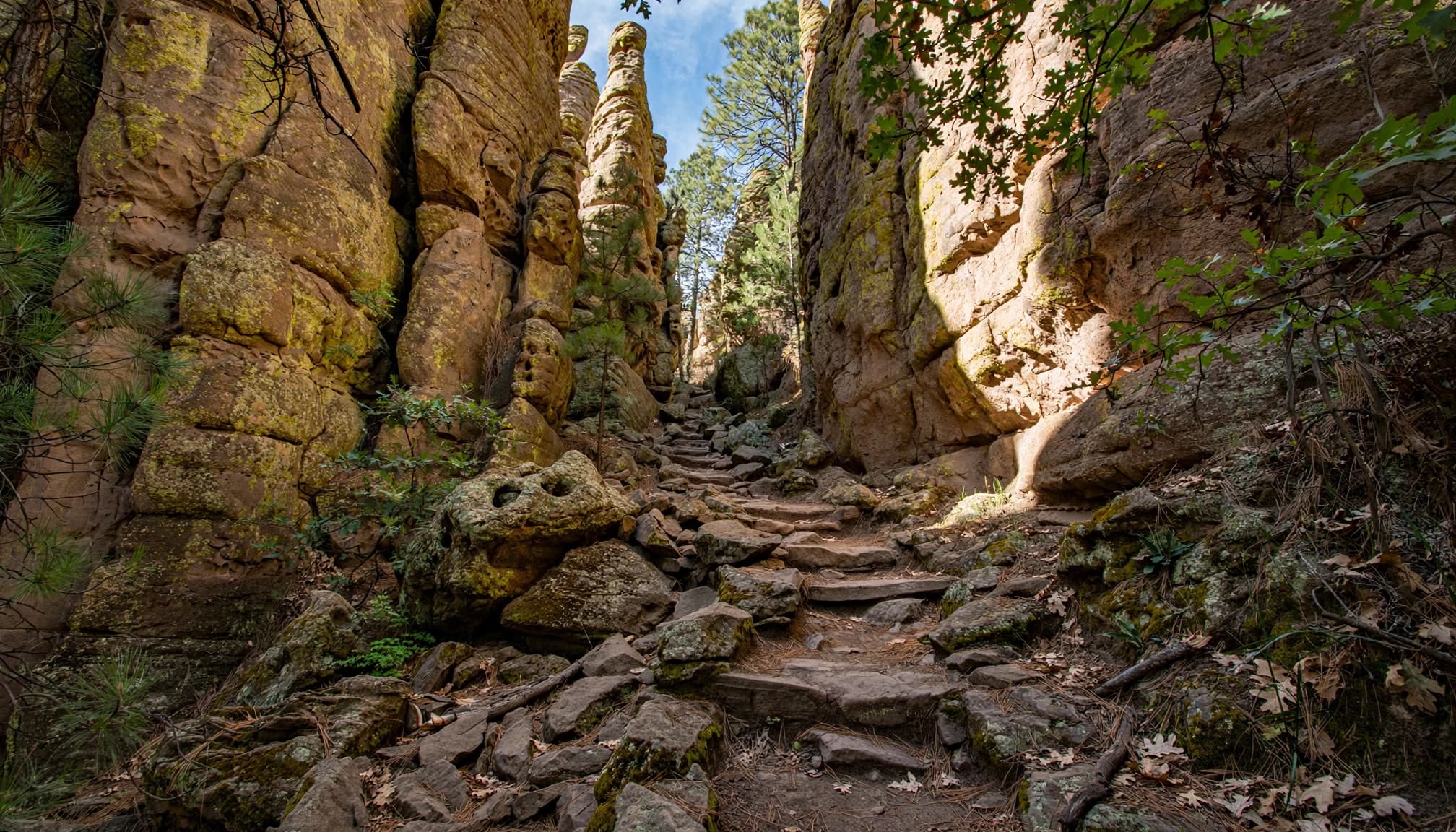 A narrow hiking trail curves between tall rocky canyon walls and trees.